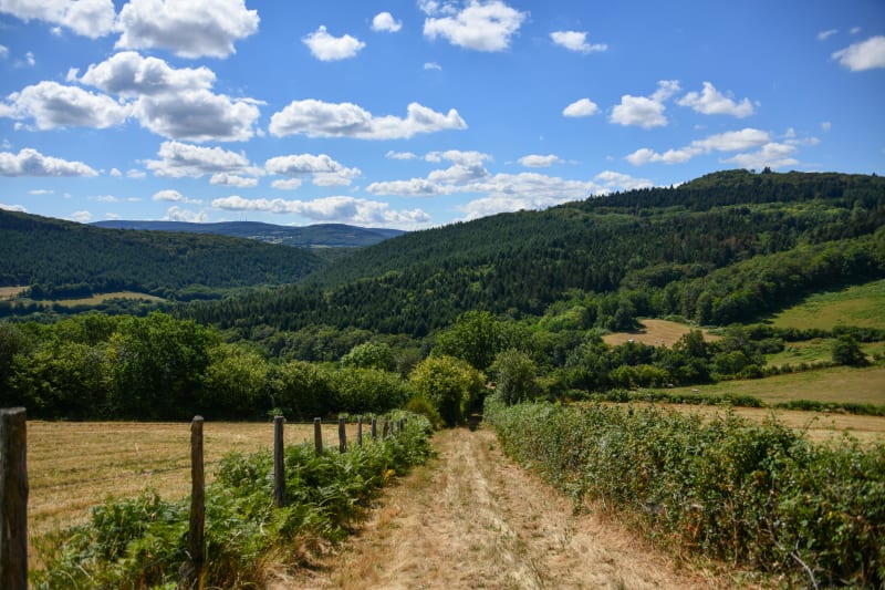 Un œil sur le Mécher, un autre sur le Beuvray - Saint-Léger-sous-Beuvray