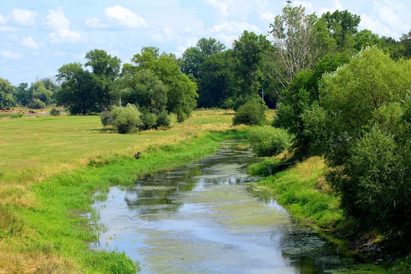 Balade entre ruisseaux et jolies prairies à St Chély - Saint-Chély-d'Apcher