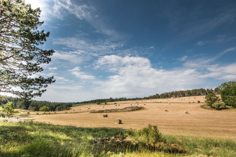 Evasion au Causse Sébrazac et vue d'Estaing - Sébrazac
