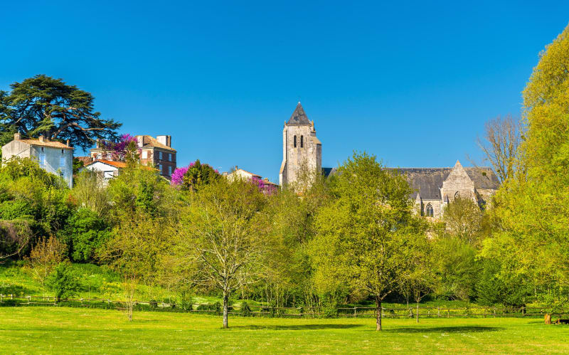 Dans les bois de l'abbaye - Celles-sur-Belle