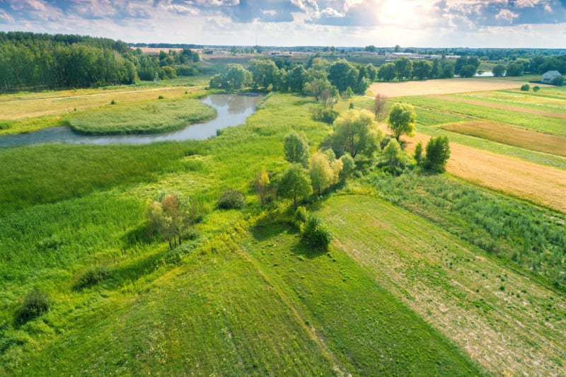 Grammaire naturelle Saint-Génardaise - Marcillé