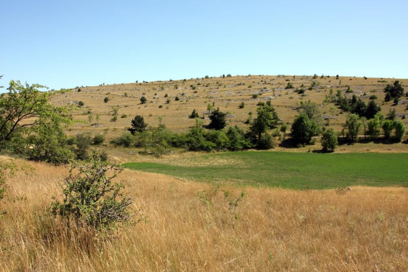 Sentiers historiques et causse à perte de vue - La Capelle-Balaguier