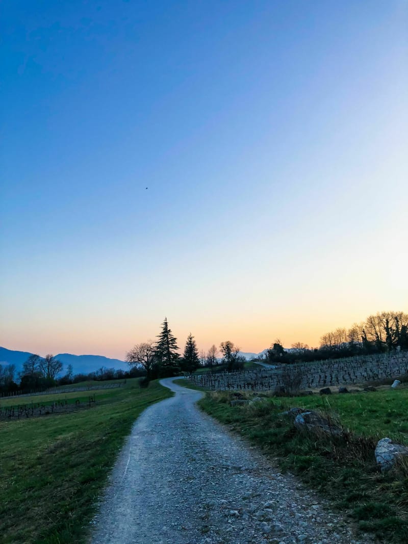 Balade dans la vallée verte de Bernin - Bernin
