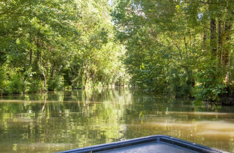 Aventure dans le cœur sauvage des Deux Sèvres - Saint-Hilaire-la-Palud