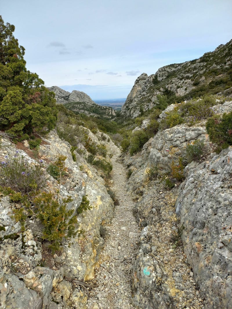 Le Petit Calan - Eygalières