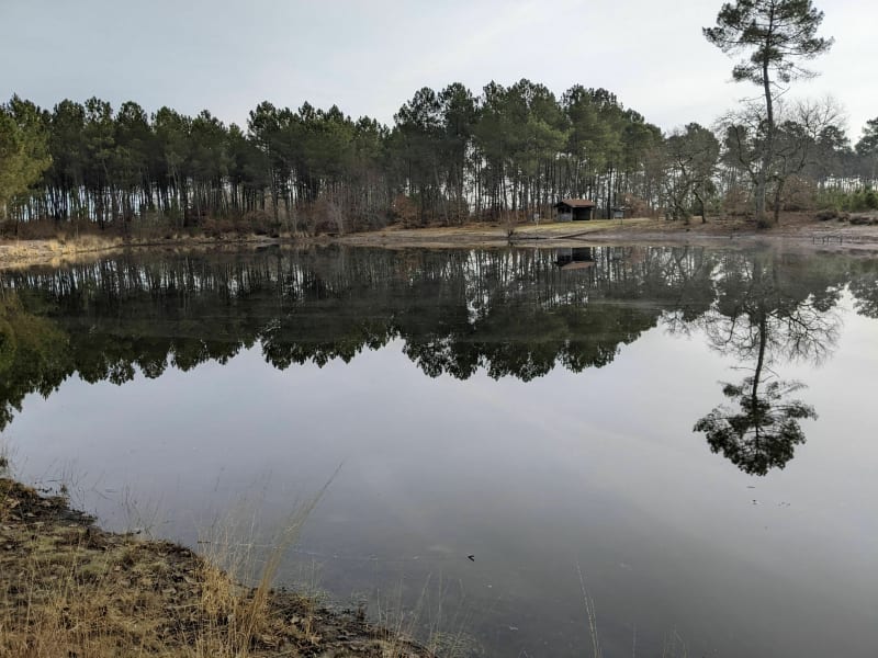 Promenade autour de la lagune de Nabias - Arue