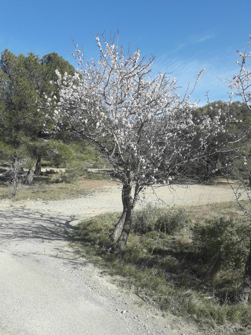Passage par La Goutine - Gruissan