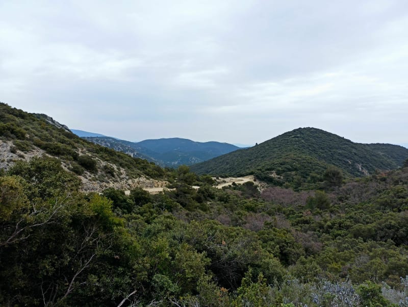 Forêt de Cèdres boucle au départ de Lauris - Lauris