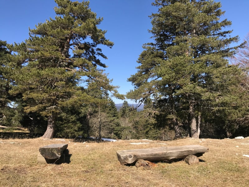 Sur les hauteurs de Villard - Villard-de-Lans