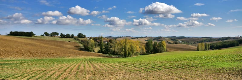 Ronde de la Trivale - Saint-Pierre-de-Trivisy
