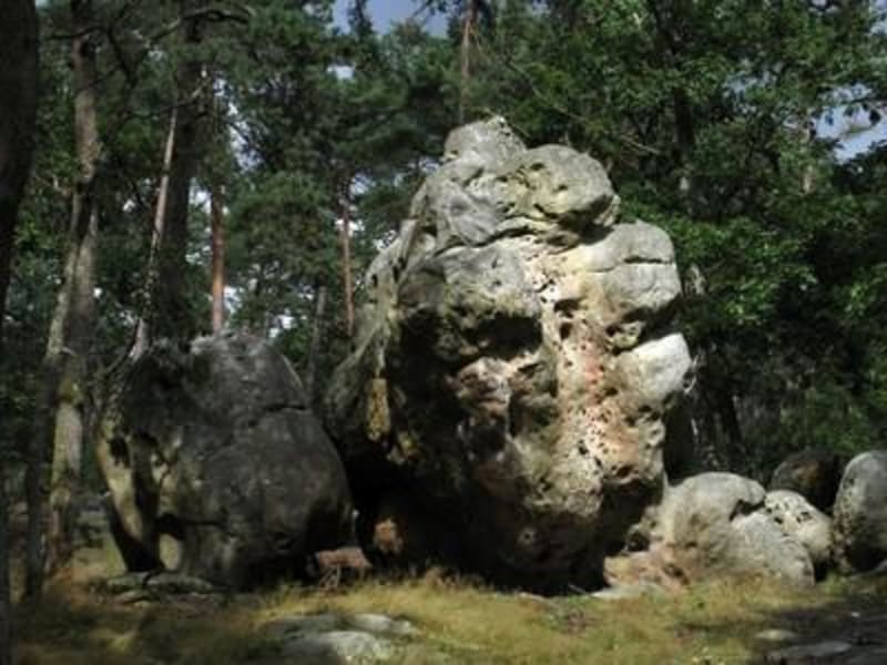 Trail Rocher Hercule - Fontainebleau