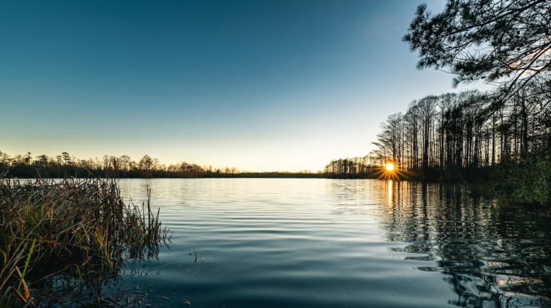 Pèlerinages lozériens et lac de Charpal - Monts-de-Randon