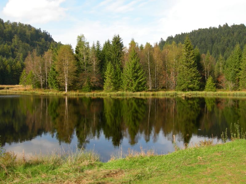 Twee hutten, een meer en een charmante wandeling - Lachamp-Ribennes