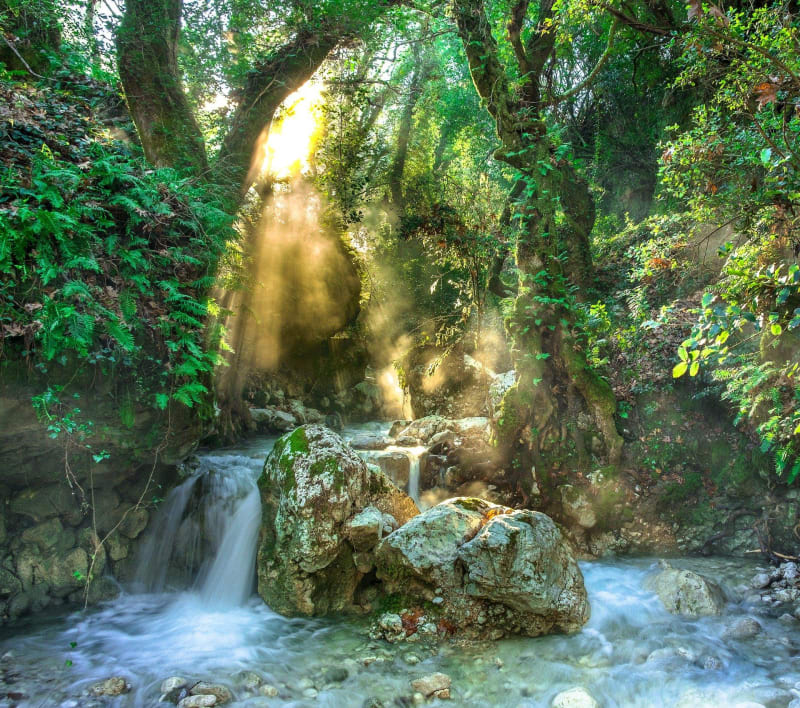 Virée à la Cascade de Louade et son Gourg - Saint-Martin-de-Fugères