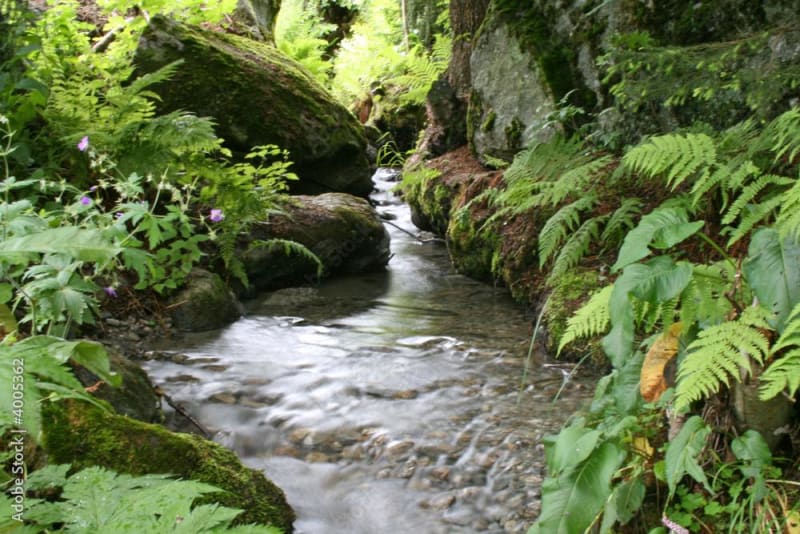 Sur les berges du Dadou - Terre-de-Bancalié
