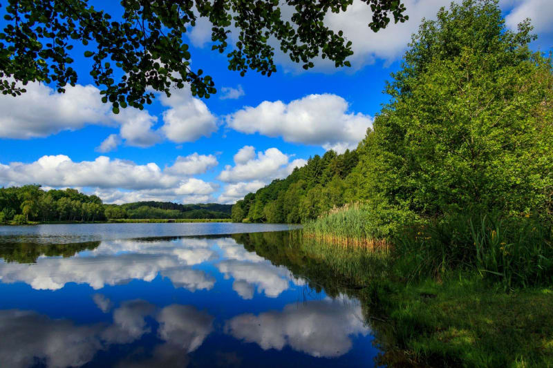 Tour du Lac de Chamboux - Champeau-en-Morvan