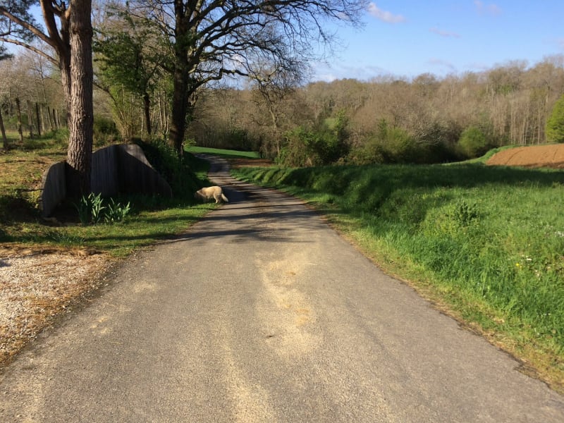 Circuit de Baradé à Estang - Estang