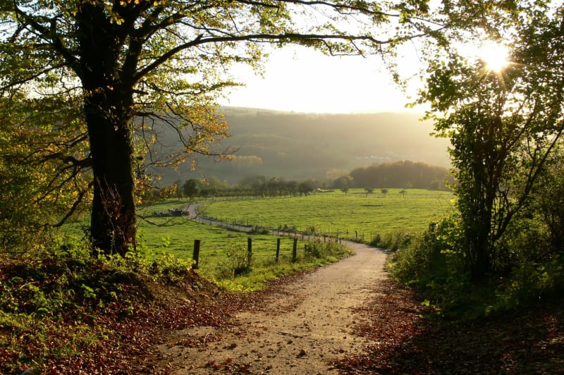 Chemins oubliés au pied du Mont Charcon - Goudet
