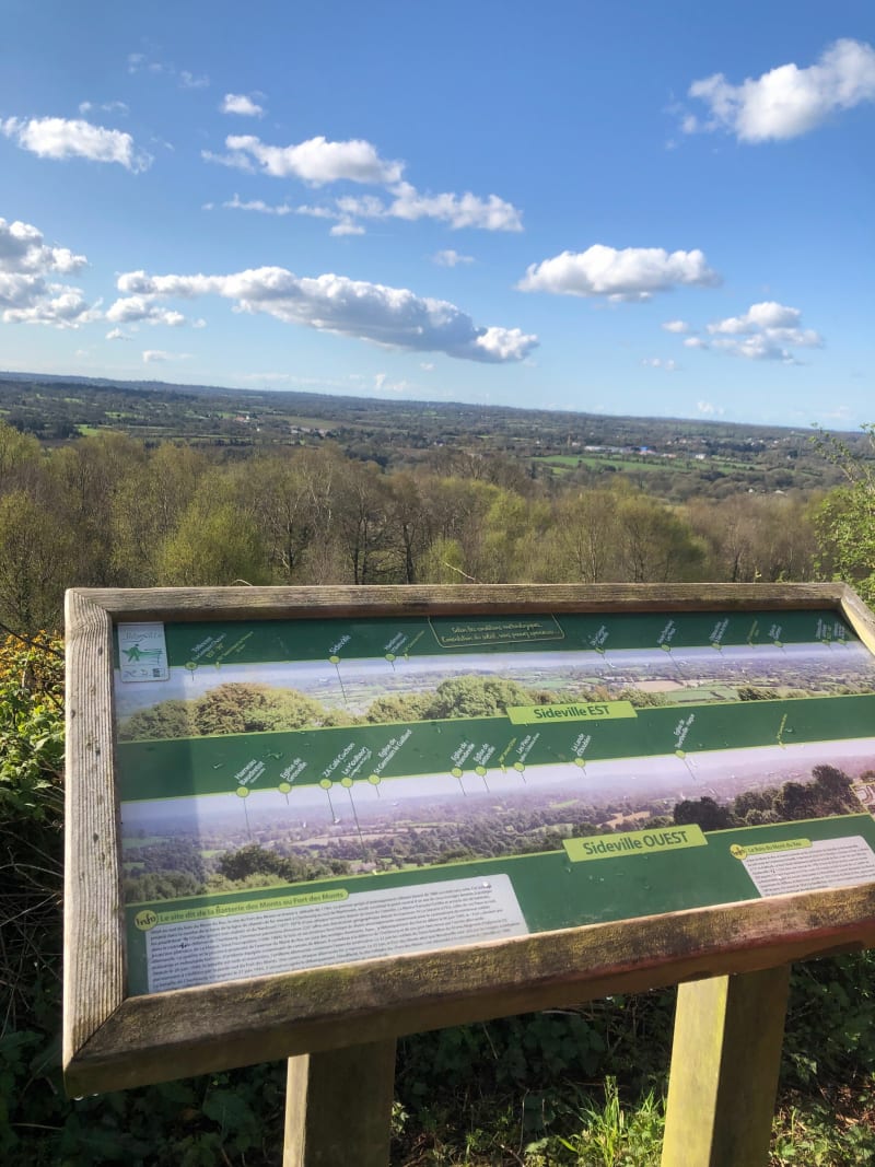 Randonnée Bois du Mont du Roc - Sideville