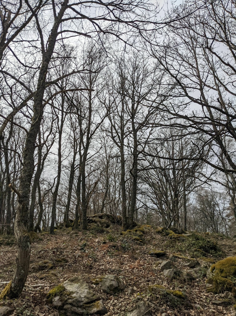 De Vaugneray au Crêt du Chevreau - Vaugneray