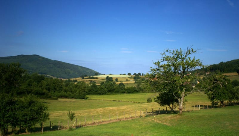 Tout Baigne à la Motte-Ternant - La Motte-Ternant