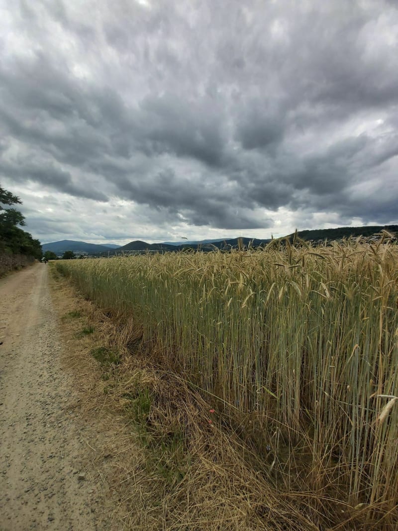 Boucle de Saint-Clair via Gourdan - Saint-Clair