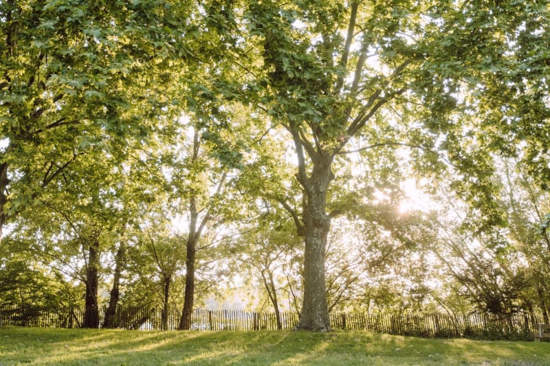 Vallée du Couasnon et excursion dans les marais - Beaufort-en-Anjou