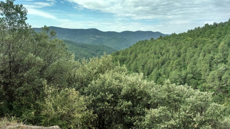 Une bonne pièce de Bouchet de plein pied - Saint-Léger-de-Peyre