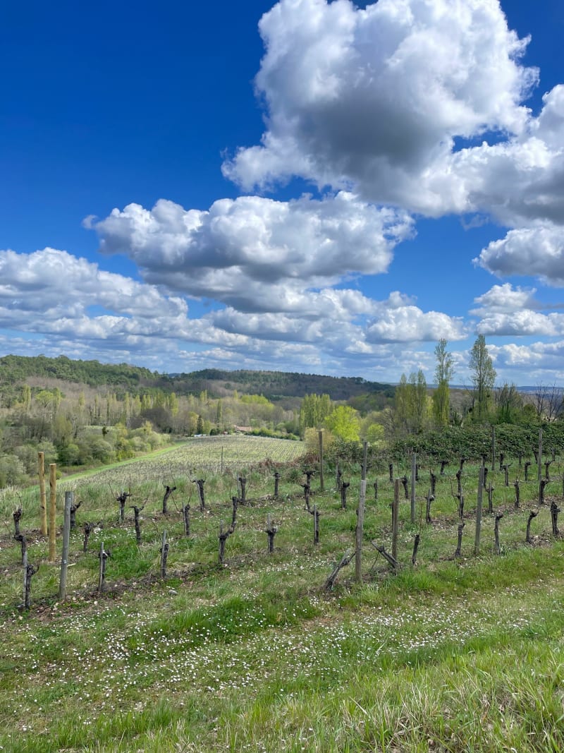 Tout en haut du coteau de Pey-Landry - Saint-Philippe-d'Aiguille