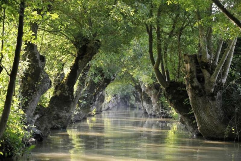 Boucle dans le marais mouillé via Niort - Arçais