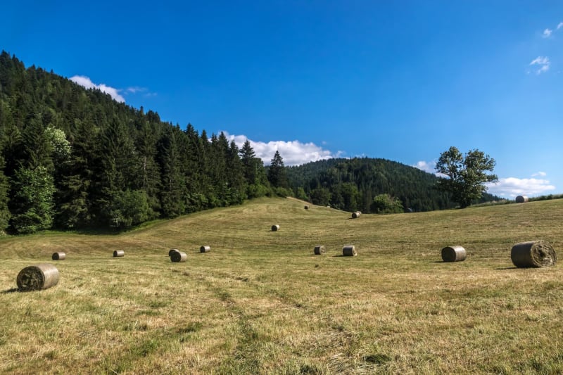 Balade toute en Sucs et en champs - Rosières