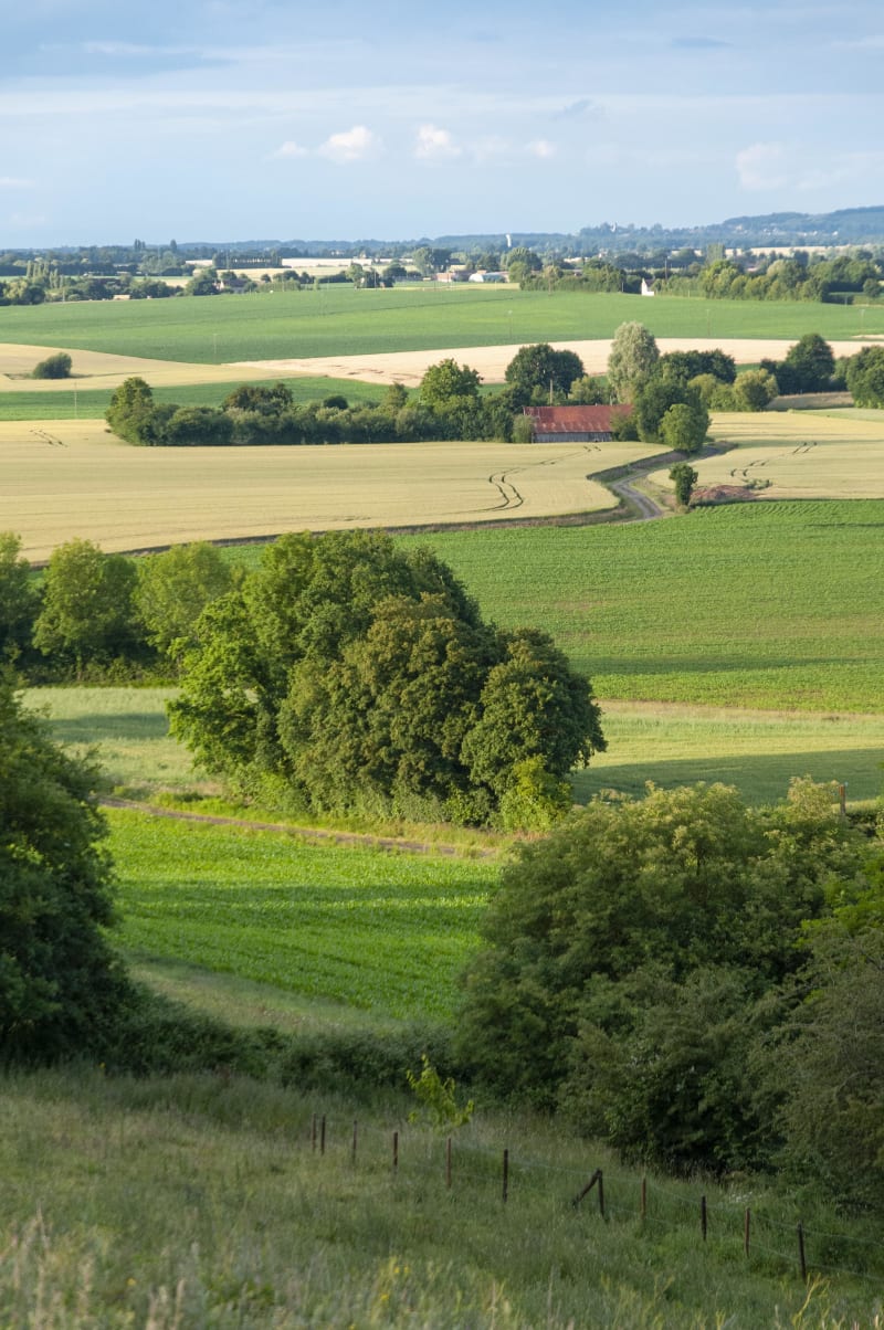 Boucle à Bouère de la Vallée de la Taude - Bouère