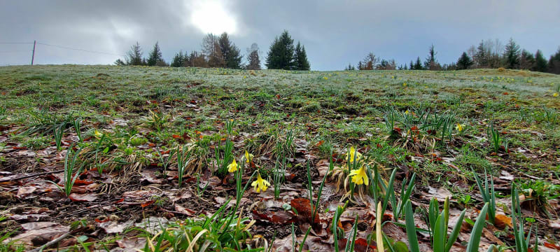 Le Bonhomme et le circuit des Jonquilles - Le Bonhomme