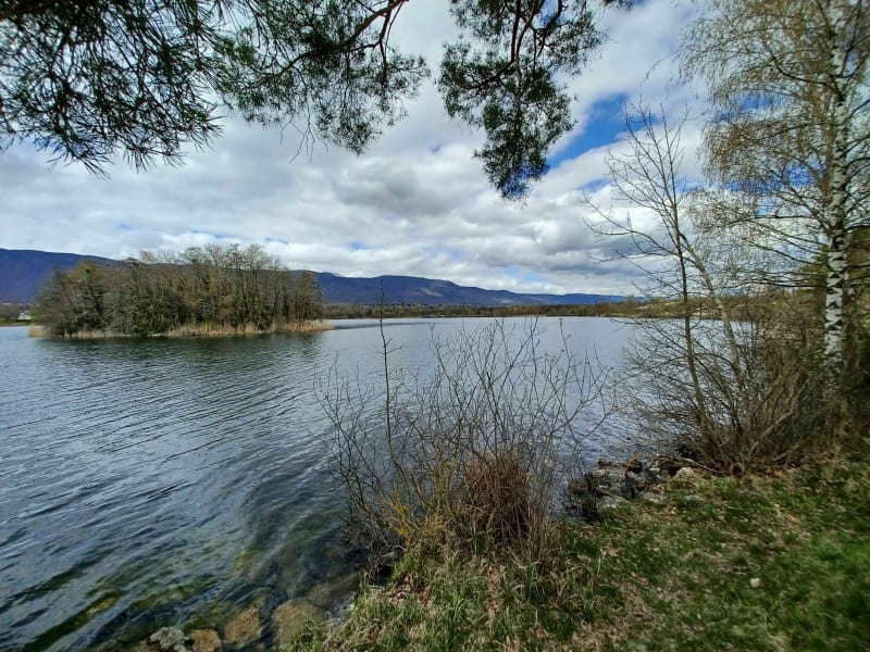 Tour du lac de divonne - Divonne-les-Bains