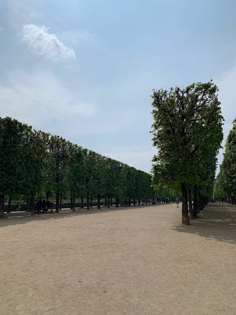 Titi à Paris - Paris