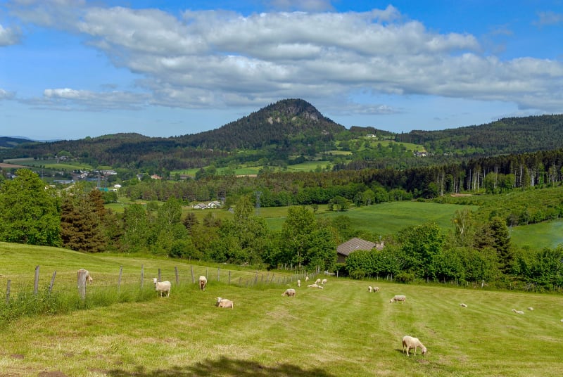 Sur les traces de l'Ours de Mézères - Mézères