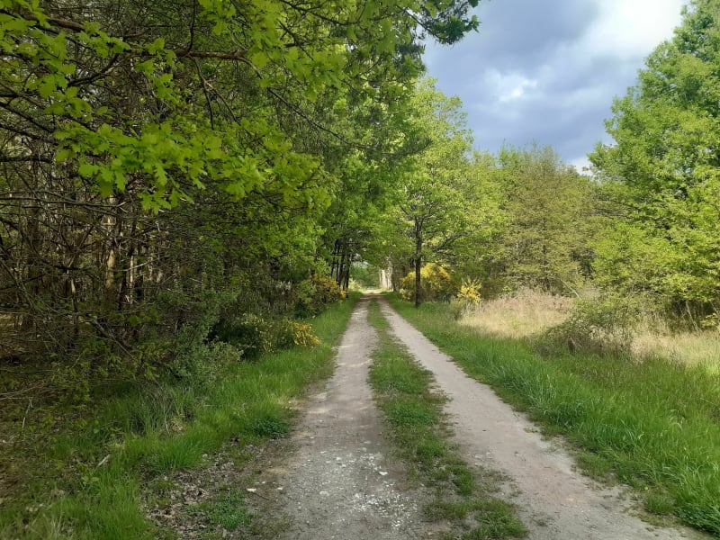 La petite balade du dimanche - Romorantin-Lanthenay