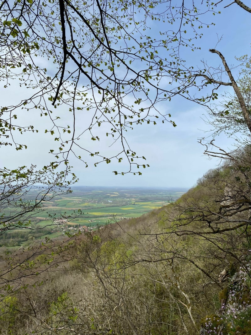 Fort de la Dame Blanche - Thallenay