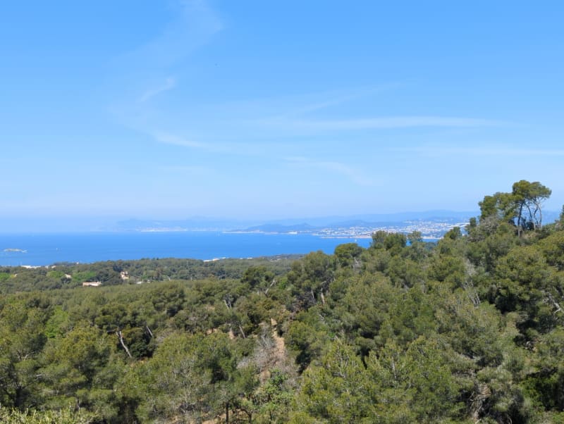 Allemaal aan boord voor het Janasbos - La Seyne-sur-Mer