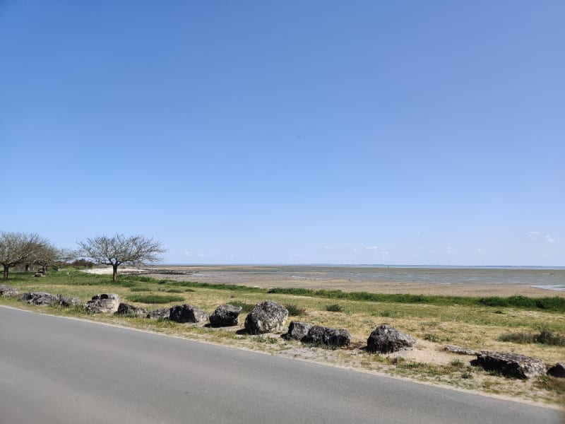 En pleine nature, mener la vie de Château-d'Oléron - Saint-Trojan-les-Bains