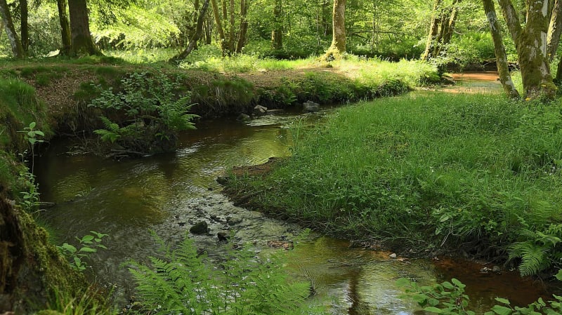 Plongée pédestre dans les Gorges de l'Alagnon - Chambezon