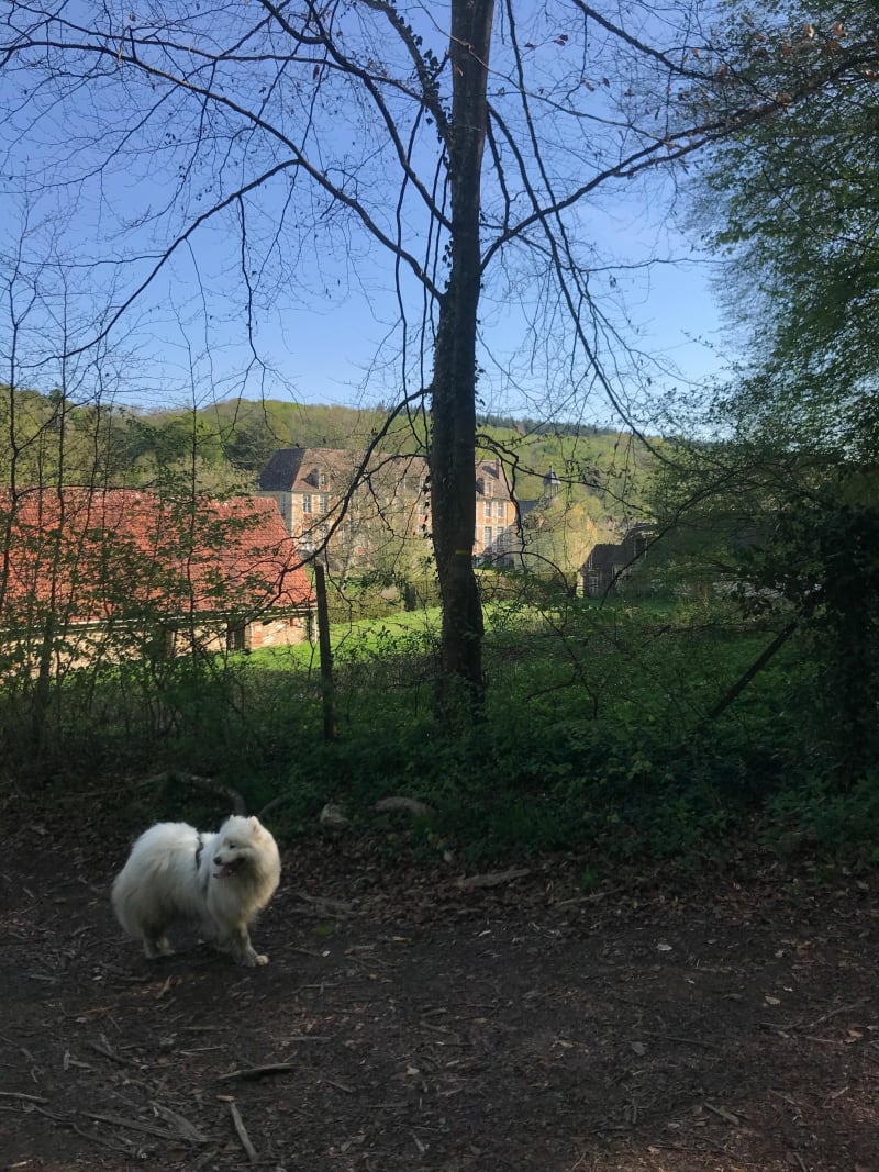 Ballade de l’abbaye de Mortemer - Lisors