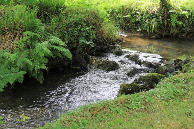 Balade des trois ruisseaux et une rivière - Azérat