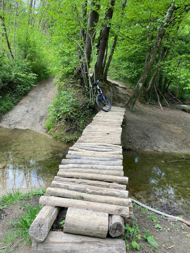 Balade dans les bois de Toussieu à Saint Pierre - Toussieu