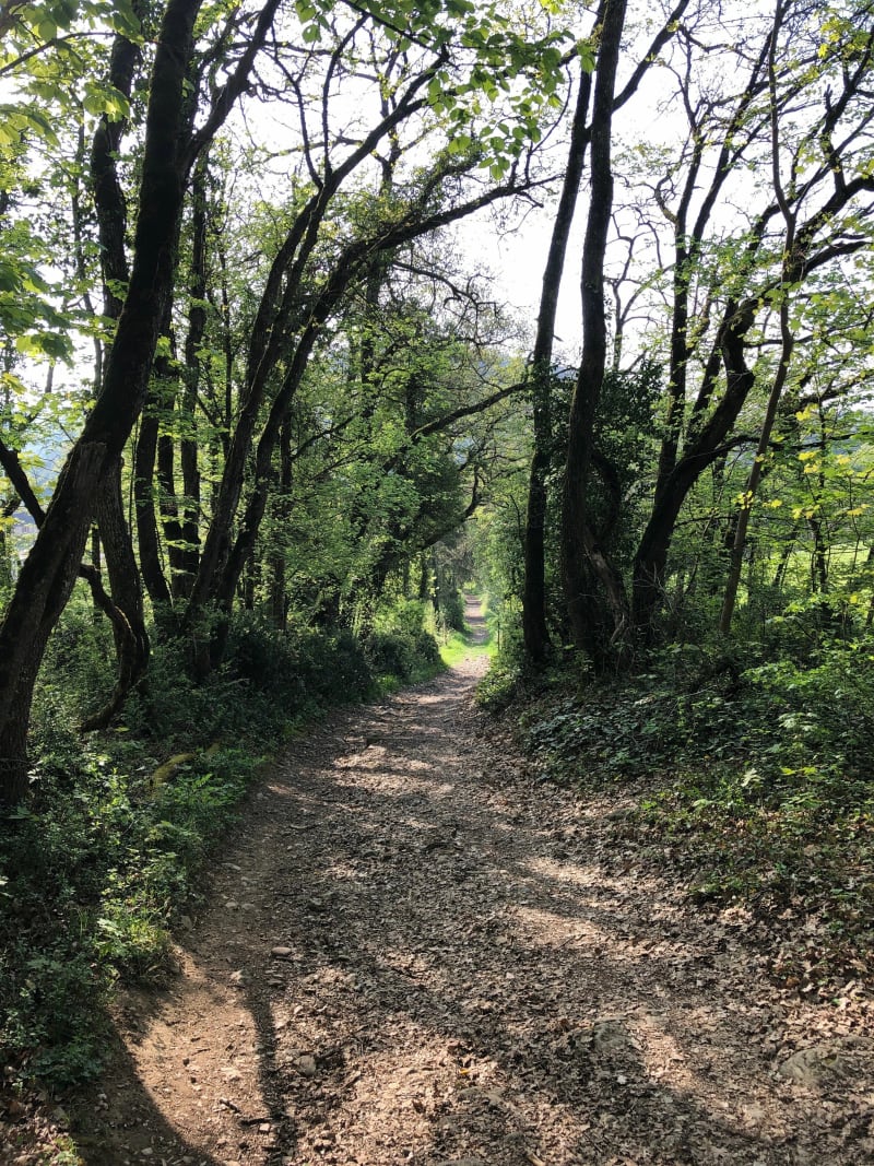 Sentier des Anes - Panossas
