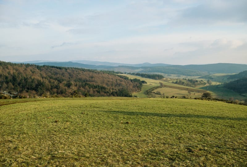 Virée paisible au Verdun du Margeride - Saint-Préjet-d'Allier