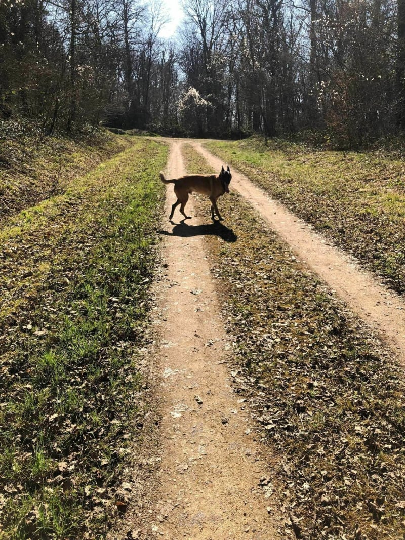 Balade à Billemont et Bois de Belleray - Dugny-sur-Meuse