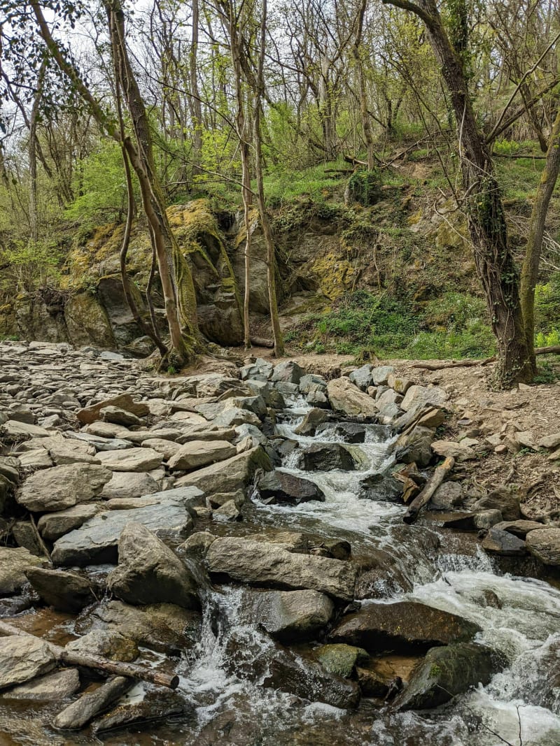 Francheville, la rivière Yzeron et le fort de Brussin - Francheville