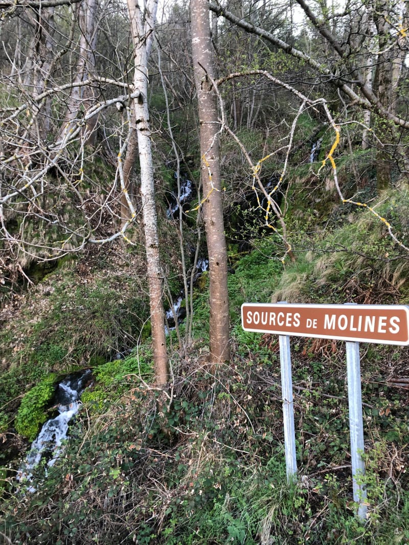 Les Trabus - sources de Molines - Borée