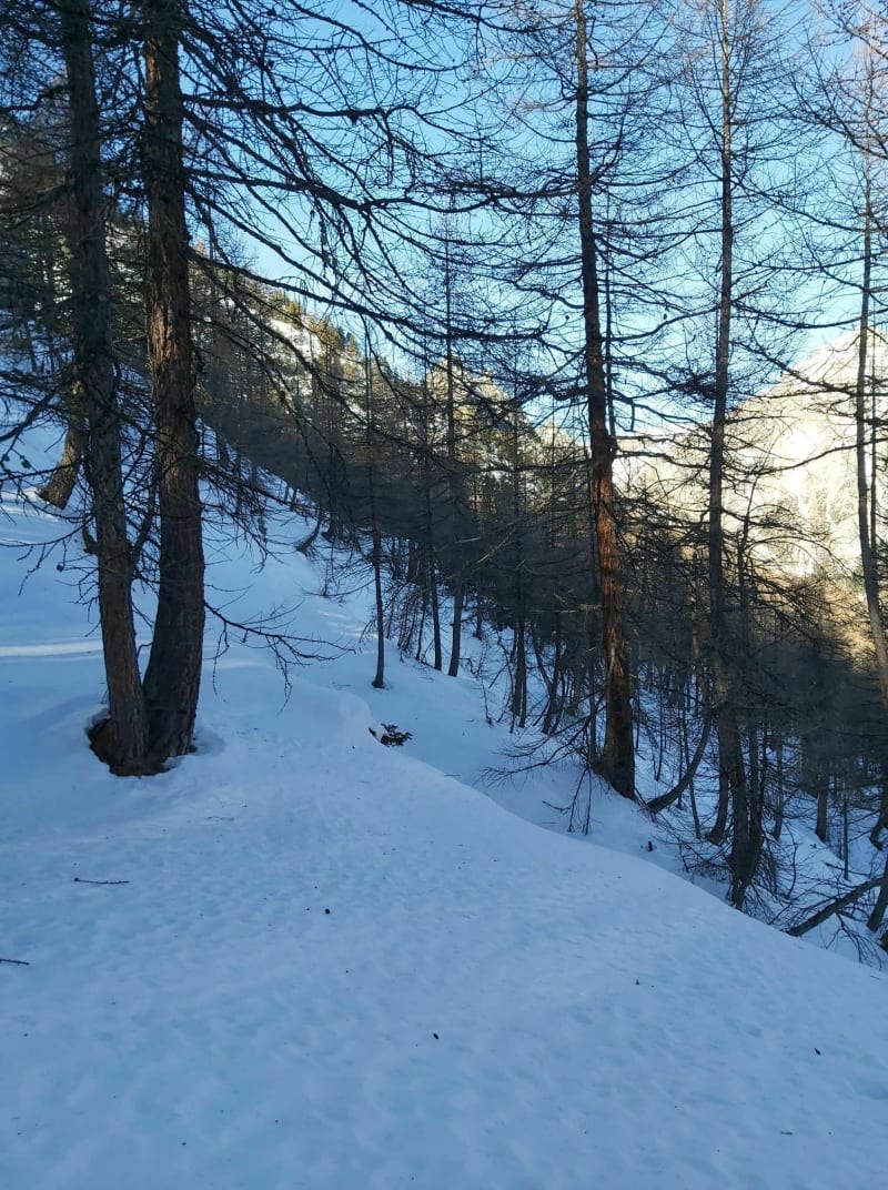 Montée de la Jamberoute à Brunissard - Arvieux